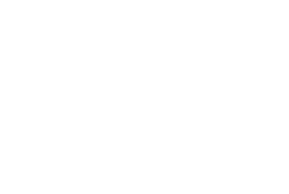 vizitrace-logo